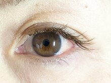 マイアイラッシュ(Mai eyelash)/バインドロック140束