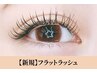 【新規/マツエク】最軽量＆高持続◆フラットラッシュ100本 ￥3900 オフ込