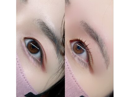 エレ(ele)の写真