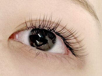 スウィートラッシュ 上尾店(Sweet Lash)/マツエク*フラットラッシュ