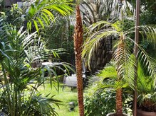 サン アーユス 千葉本店(Sun Ayus)/みどり溢れる活き活きイヤシロチ