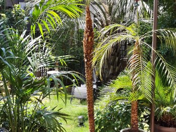 サン アーユス 千葉本店(Sun Ayus)/みどり溢れる活き活きイヤシロチ