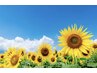 【SUMMER☆クーポン】ボディケア60分アロマリンパ60分 ¥13000→¥12000