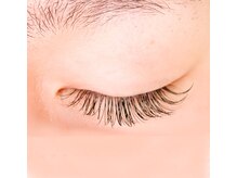 モーブ(mauve)/パーフェクトラッシュ１３０束