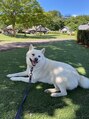 ハンドメイドフィットネス 亀有(Handmade Fitness) 動物は犬派です!愛犬のミルキーです!