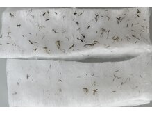 ラティエル(Latiele)/取れた汚れを見ることができます