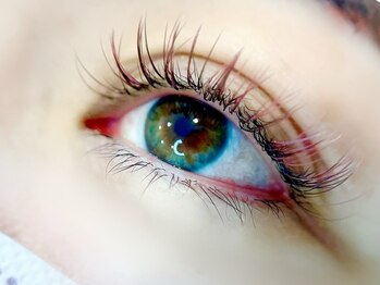 プリュム(plume)/【周りと差をつけるなら・・・】