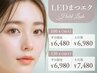 【LEDマツエク】人気No.1ホールドラッシュ≪平日割≫100本¥6480or120本¥6980