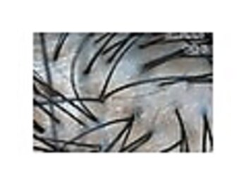 エルール トータルビューティ(Aileure total beauty)/育毛促進ケア　