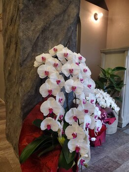 おきもちサロン(おきもちSALON)/入口の柱