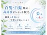 【白髪・産毛にお悩みの方向け】≪白髪30分抜き放題コース(白髪・産毛OK)≫
