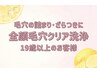 初回体験特別価格♪全顔毛穴クリア洗浄(19歳以上のお客様)