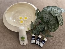 カトレア(CATTLEYA)