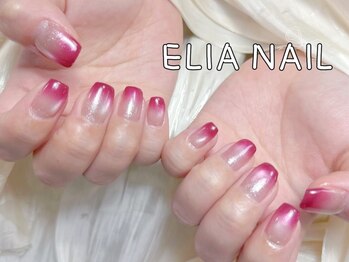 エリア(ELIA)/マグネットカラーグラデーション