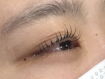 ピクシーボブ(Pixie Bob)/しっかりカールスタイル