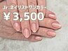 Jrネイリスト☆デビュー応援！ワンカラー3,500円(オフ代別途) 