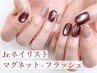 【Jrネイリスト限定】ハンドenoiフラッシュ+マグネット/付替オフ無料¥7300→