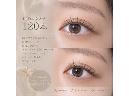 ラテ(Latte)の写真