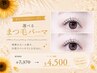 〔夏休み平日限定〕選べるラッシュリフト￥7,370→￥4,500