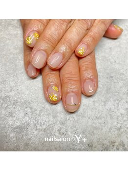 ワイプラス(Y+)/