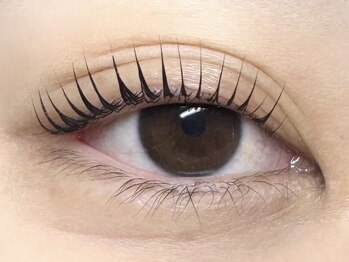 リーベ 高槻(Liebe)/☆まつ毛パーマ(ラッシュリフト)