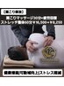 【肩こり解放】肩こりケア30分×疲労回復ストレッチ整体60分￥16500→￥8250