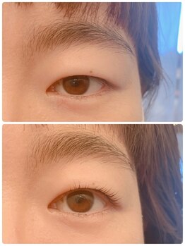 バードアイ(bird eye)/ラッシュリフト(まつ毛パーマ)