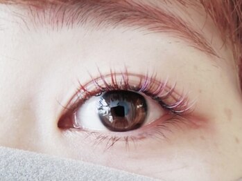 トラック(TRUCK)/●カラーエクステ