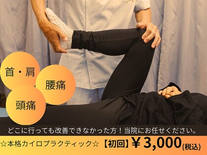 東海カイロオステ院の写真
