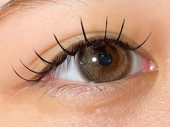 ソル ラッシュアンドブロウ(SOL lash&blow)の写真/エクステの種類が豊富！フラットラッシュ/ボリューム/バインド/カラエク/まつ毛が痛んだ方でも施術は可能◎