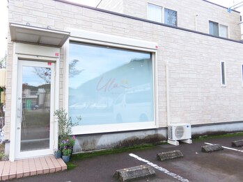 ウル(Ulu)/Ulu筋膜