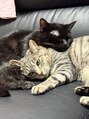 リラ ねこのシッポ&nbsp;ねこのシッポのモデルのにゃんこ達