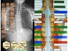 2回目以降【長年の腰痛持ちの方】ピンポイント調整カイロプラク ティック