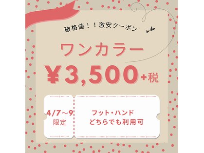 ルカニシュ 浜北店(Le caniche)の写真