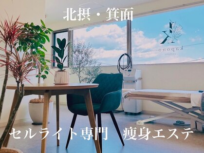 カポノ(kapono)の写真