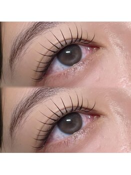 バニーアイズ 天神(Bunny eyes TENJIN)/フラットラッシュ120本