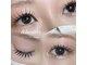 ラッシュソア(LASH Soa.)の写真
