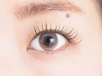 ソポロマ(SopoLoma)/フラットマットラッシュ