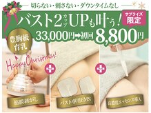 美人バスト 福岡店