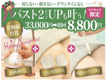 美人バスト 福岡店