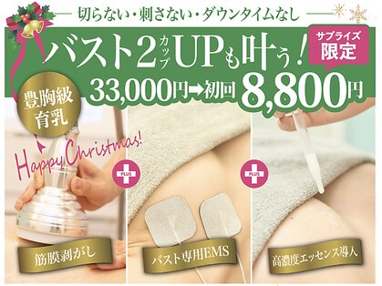 美人バスト 福岡店の写真