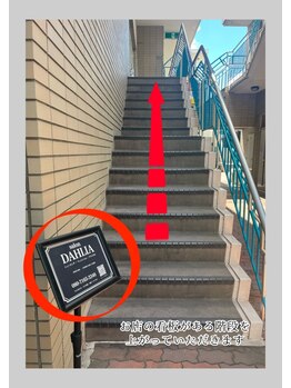 ダリア(DAHLIA)/道案内（1）