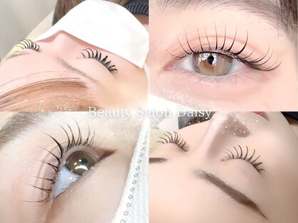 デイジー(Daisy)の写真