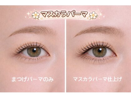 ルチア 志木店(Lucia)の写真