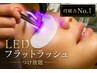 【持続力No.1】LEDフラットラッシュつけ放題  ￥9,900