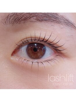 ファミーユ タカサキ(Fameu TAKASAKI)/上下ラッシュリフト