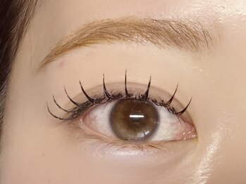 バタフライ 川崎店(Butterfly)/フラットラッシュ