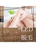 レディース　セラピスト脱毛【全身】LED脱毛　13200円業界初時間制脱毛