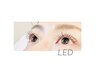 【8月限定!!導入開始クーポン】LEDシングルエクステ100本  ¥6500