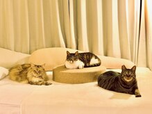 サロン ド イルベージュ(Salon de Ilbeige)